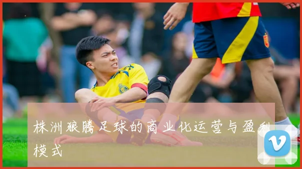 株洲狼腾足球的商业化运营与盈利模式