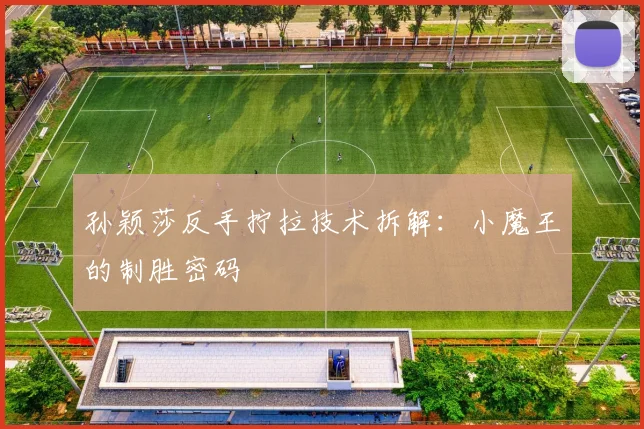 孙颖莎反手拧拉技术拆解：小魔王的制胜密码