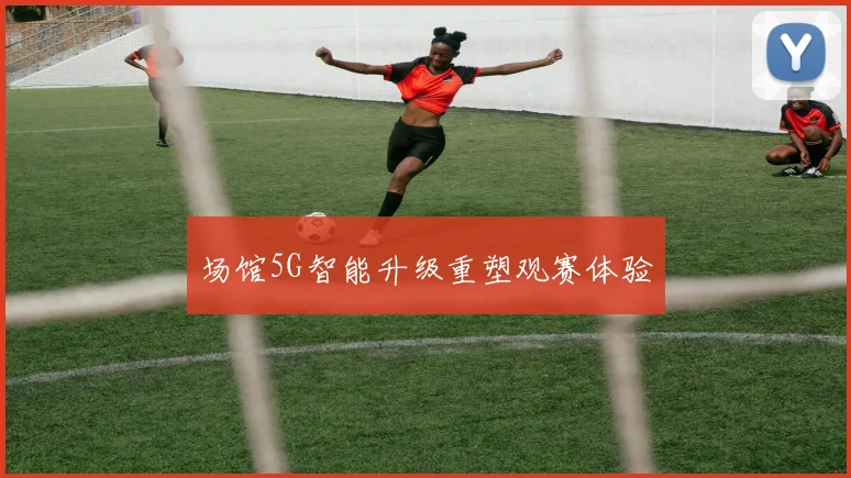 场馆5G智能升级重塑观赛体验