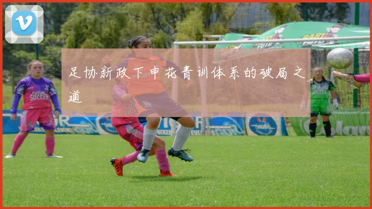 足协新政下申花青训体系的破局之道