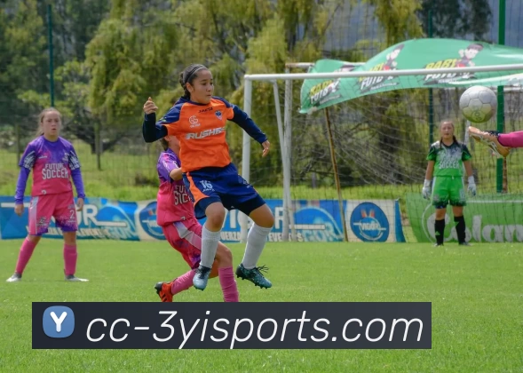 App Interface Preview